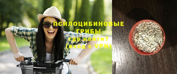 эйфоретик Дмитровск