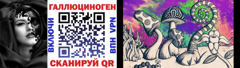 магазин    Данилов  Галлюциногенные грибы Psilocybe 